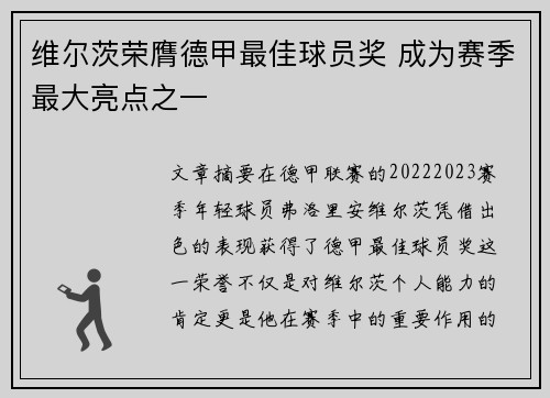 维尔茨荣膺德甲最佳球员奖 成为赛季最大亮点之一